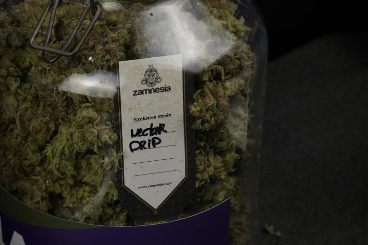 TicaL X Zamnesia-NectarDrip pack#268/750. Week 16 - final result  saved in glass jars 