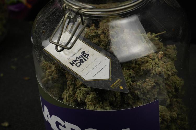 TicaL X Zamnesia-NectarDrip pack#268/750. Week 16 - final result  saved in glass jars 