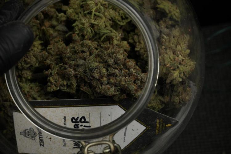 TicaL X Zamnesia-NectarDrip pack#268/750. Week 16 - final result  saved in glass jars 