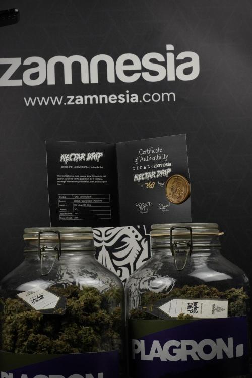 TicaL X Zamnesia-NectarDrip pack#268/750. Week 16 - final result  saved in glass jars 