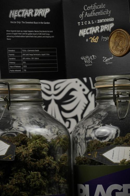 TicaL X Zamnesia-NectarDrip pack#268/750. Week 16 - final result  saved in glass jars 