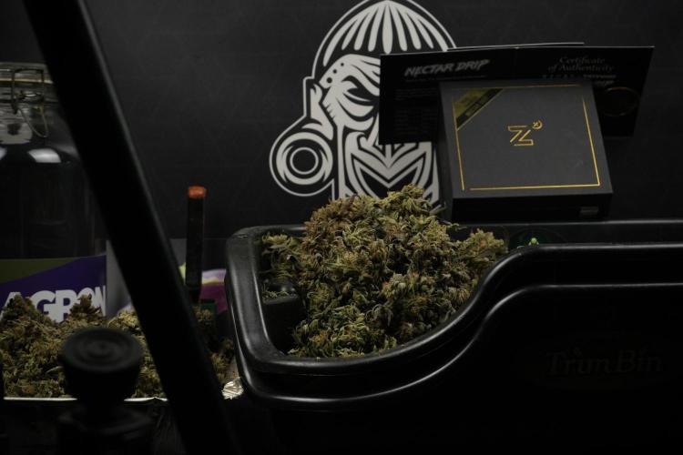 TicaL X Zamnesia-NectarDrip pack#268/750. Week 17 - trim station