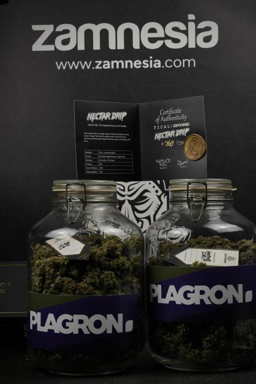 TicaL X Zamnesia-NectarDrip pack#268/750. Week 17 - Limited edition 