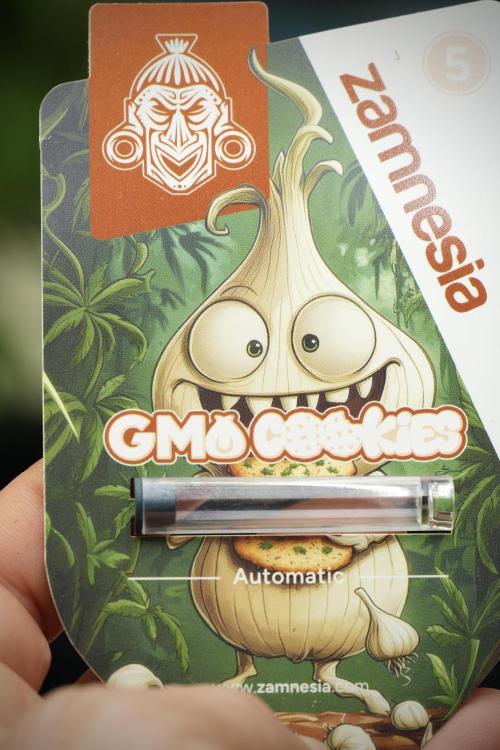 GMO Cookies Served with extra curiosity. Week 14 - The other GMO Cookies 