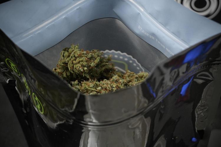 GMO Cookies Served with extra curiosity. Week 15 - bagging 
