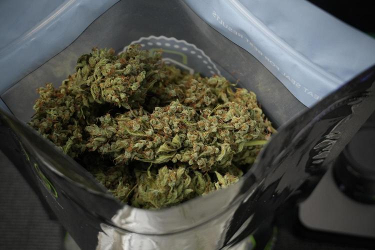 GMO Cookies Served with extra curiosity. Week 15 - bagging 