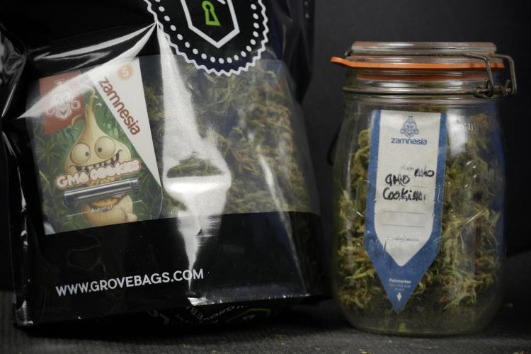 GMO Cookies Served with extra curiosity. Week 15 - bagging 