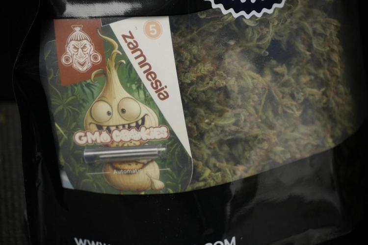 GMO Cookies Served with extra curiosity. Week 15 - bagging 