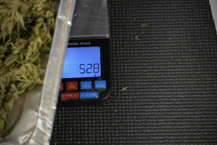 GMO Cookies Served with extra curiosity. Week 16 - Numbers