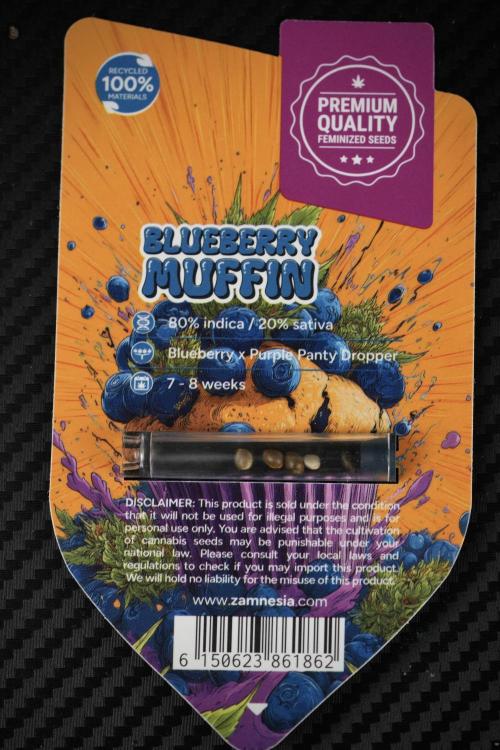 Blueberry  Muffin by Zamnesia Pheno A. Week 0 - BBM Pack