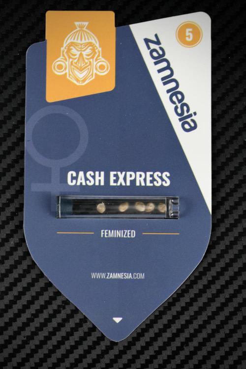 Cash Express By Zamnesia Pheno A. Week 0 - Seed PAck