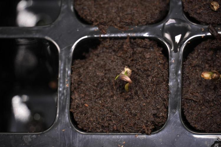 Cash Express By Zamnesia Pheno A. Week 0 - Day one