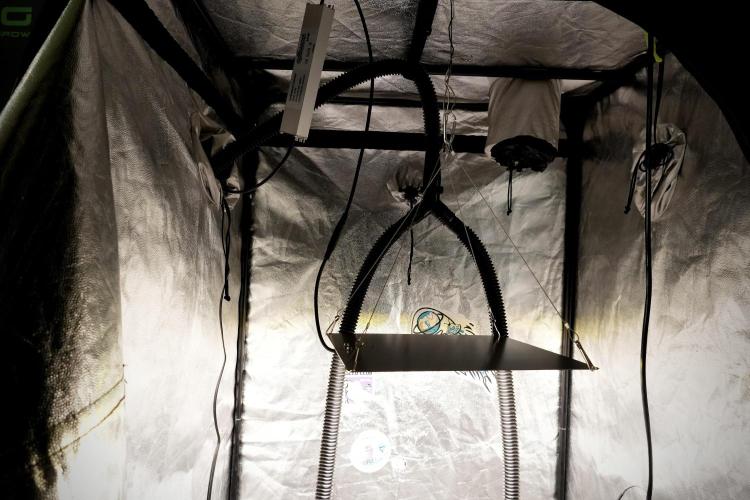 Pheno B Cash Express By Zamnesia. Week 0 - tent set up