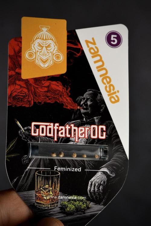 Pheno B God father OG By Zamnesia. Week 0 - Godfather OG seed Pack