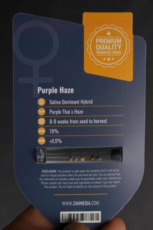 Purple Haze By Zamnesia Pheno A. Week 0 - Purple Haze  seed pack
