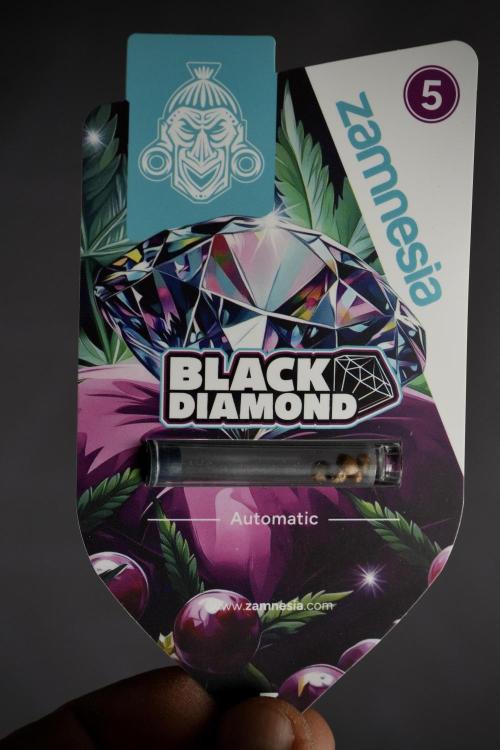 Black Diamont Auto By Zamnesia Pheno A. Week 0 - Black Diamond Auto seed pack