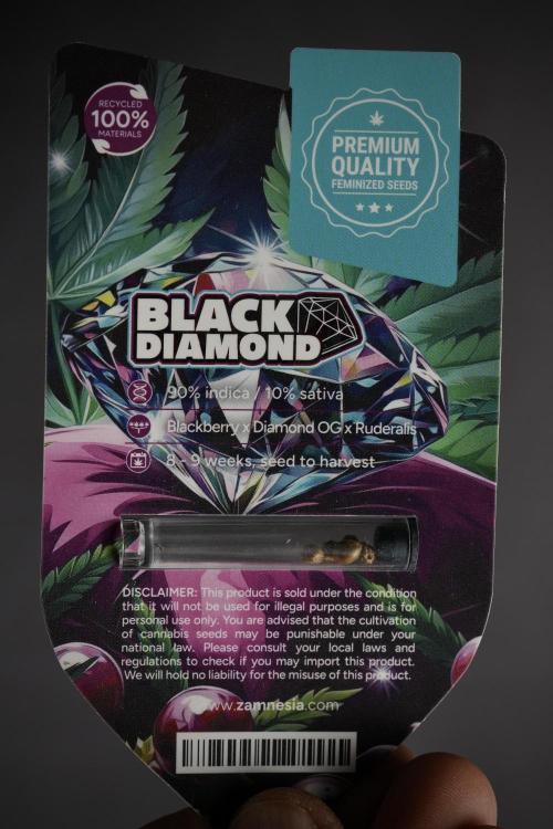 Black Diamont Auto By Zamnesia Pheno A. Week 0 - Black Diamond Auto seed pack