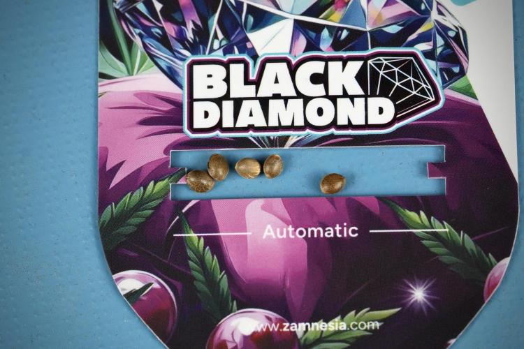 Pheno B Black Diamont Auto By Zamnesia. Week 0 - Black Diamond Auto Seeds