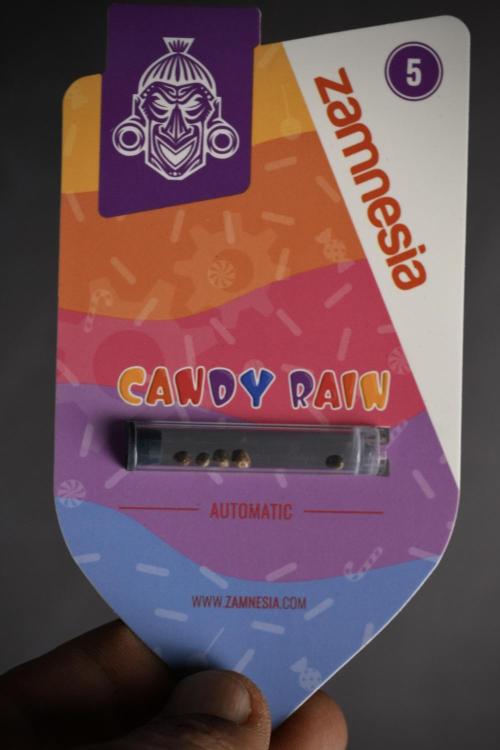 Candy Rain Auto By Zamnesia. Week 0 - Candy Rain Seed Pack 