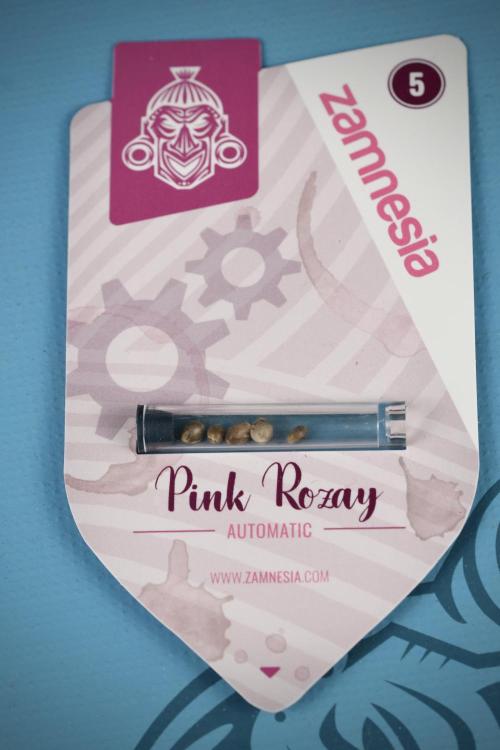 Pheno B Pink Rosay Auto By Zamnesia. Week 0 - Pink Rosay Seed Pack