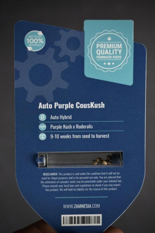 Purple CousKush Auto By Zamnesia Pheno A. Week 0 - Purple CousKush Seed Pack