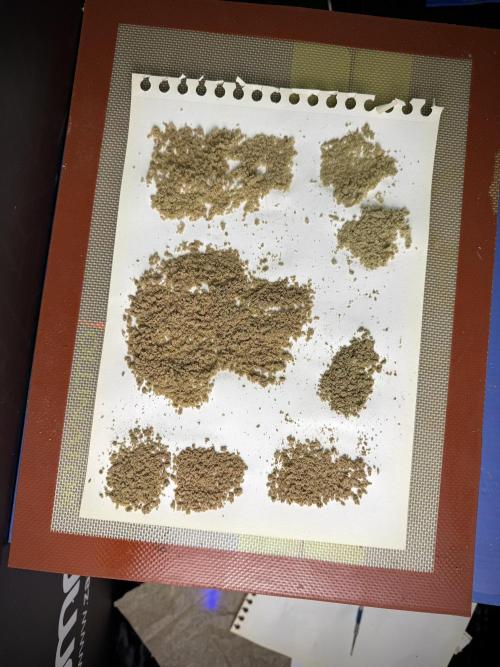 The Frozen Archive #1. Week 15 - hash 
