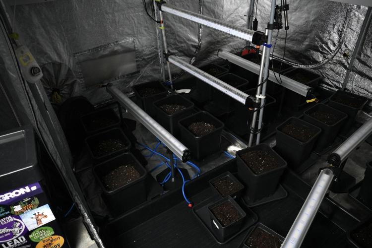 Pheno B Cash Express By Zamnesia. Week 1 - LED 
Power
