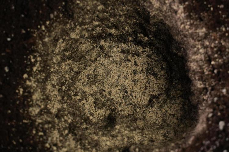 Passion Fruitz By Zamnesia. Week 1 - mycorrhizal