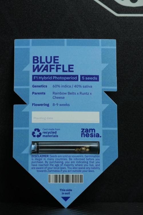 Blue Waffle F1 Zamnesia Pheno A. Week 0 - Seed Pack 