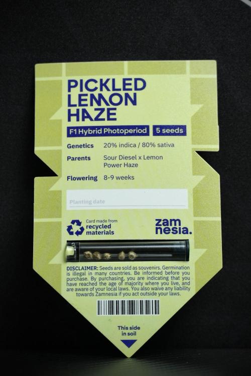 Pickle Lemon Haze F1 Zamnesia Pheno A. Week 0 - Seed Pack