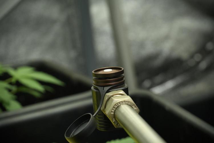 Passion Fruitz By Zamnesia. Week 3 - Quantum sensor