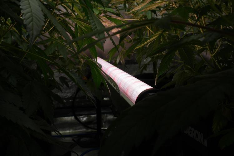Chem Brulee By Zamnesia Pheno A. Week 7 - UCL