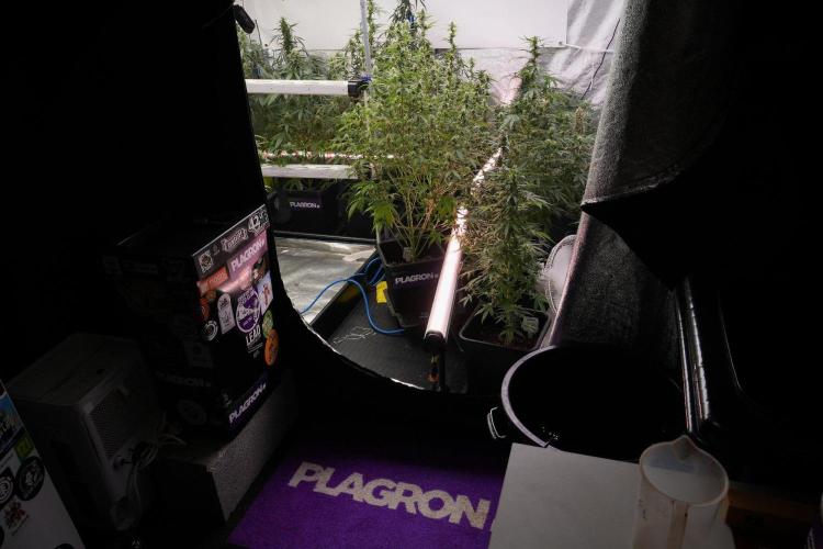 Cash Express By Zamnesia Pheno A. Week 9 - Room and Vibes 