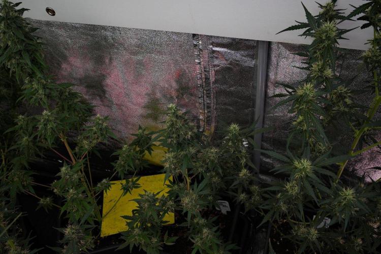 Cash Express By Zamnesia Pheno A. Week 10 - Cash Express Pheno A
