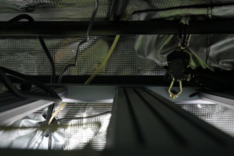 Blue Waffle F1 Zamnesia Pheno A. Week 9 - extractor and carbon filter out of the tent and led up 