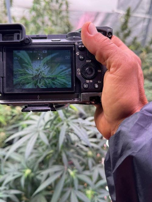 Cash Express By Zamnesia Pheno A. Week 11 - work mode on 