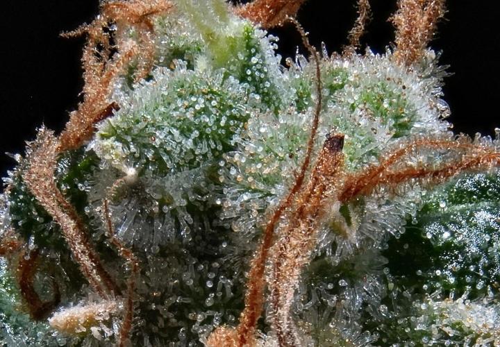 Cash Express By Zamnesia Pheno A. Week 15 - cash express  A  stack