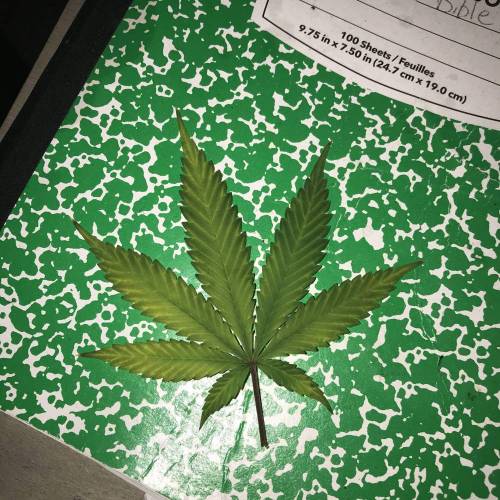 420SNoWfLaKe420
