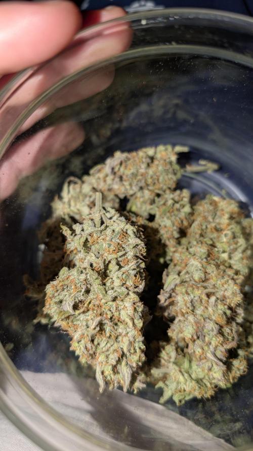 Fast Buds - Pound cake. Week 8