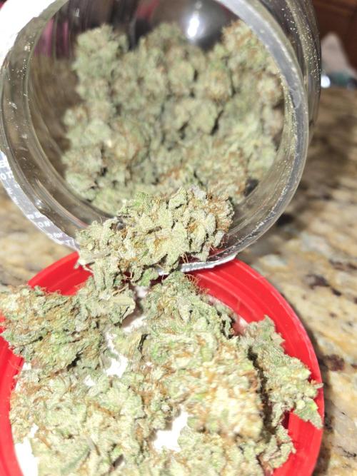 White Widow. Week 17