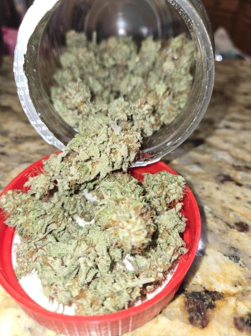 White Widow. Week 17