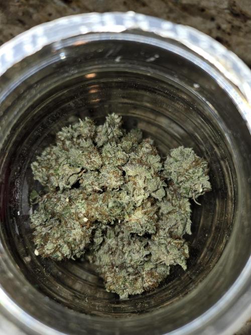 White Widow. Week 17