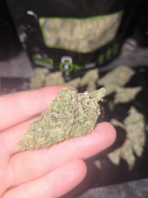 Frostbanger, Gorilla Z. Fastbuds. Week 12