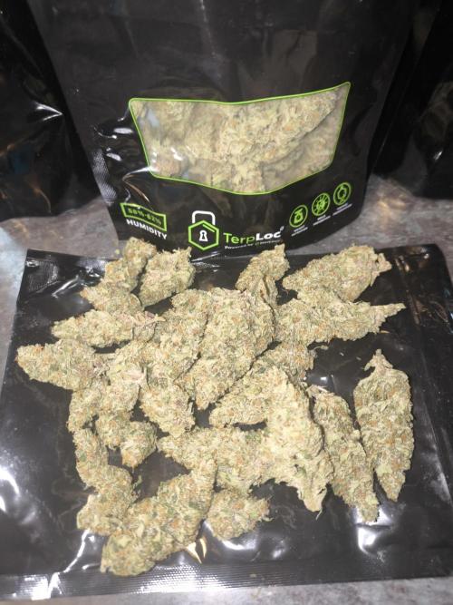 Frostbanger, Gorilla Z. Fastbuds. Week 12