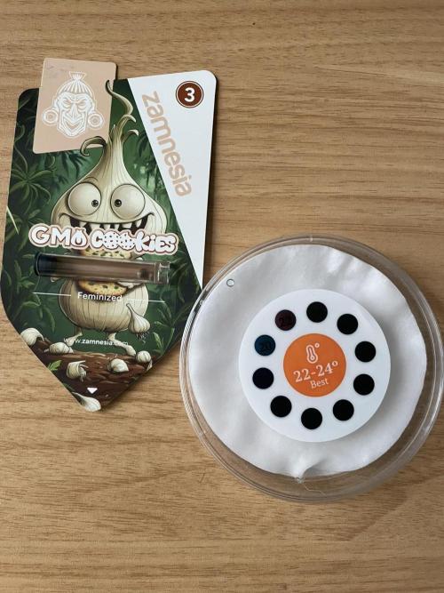 GMO Cookies - photoperiodic first time. Week 0