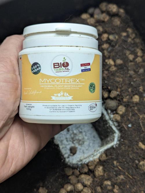 Biotabs/Autopot Tropicana Cherry. Week 1