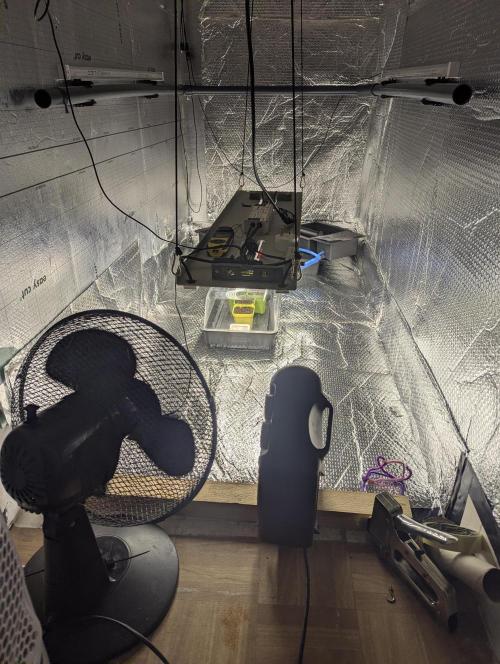 Biotabs/Autopot.- Triple Cheese. Week 1