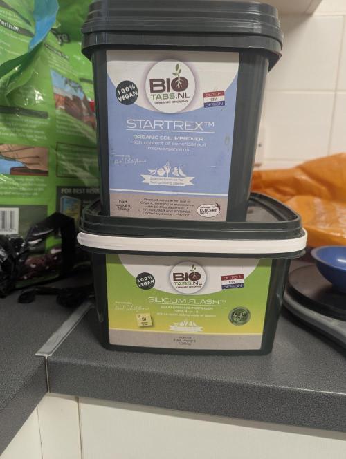 Biotabs/Autopot.- Triple Cheese. Week 1