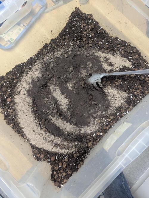 Biotabs/Autopot.- Triple Cheese. Week 1