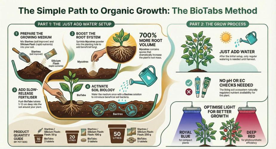 Biotabs/Autopot Tropicana Cherry. Week 4